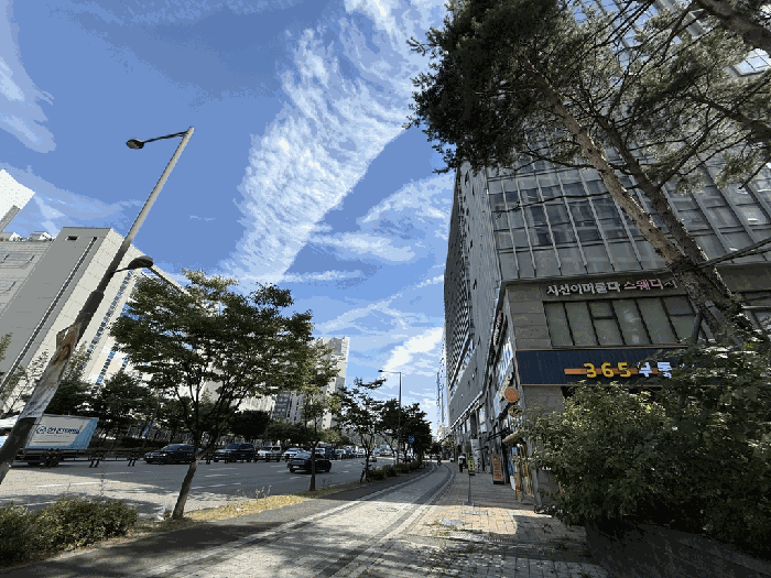 물건 사진 12