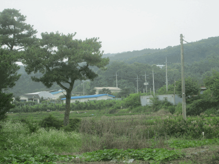 물건 사진 29