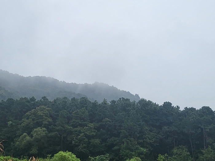 물건 사진 11