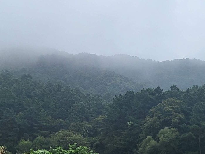 물건 사진 12