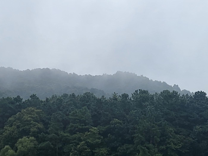 물건 사진 13