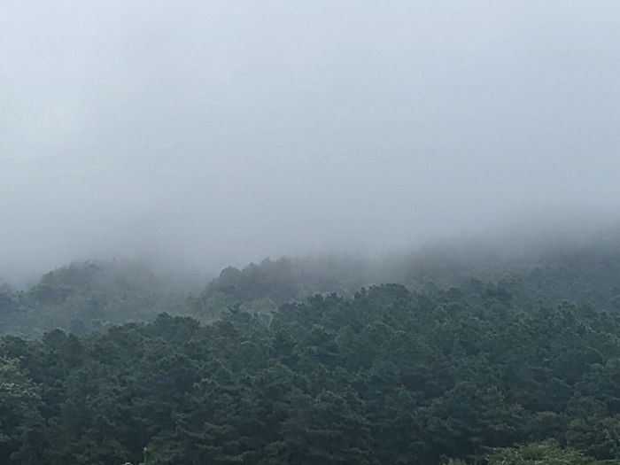 물건 사진 14