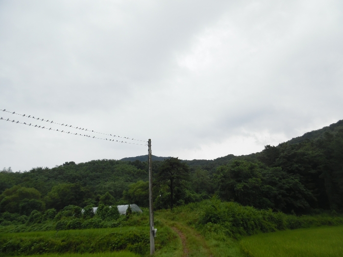 물건 사진 38