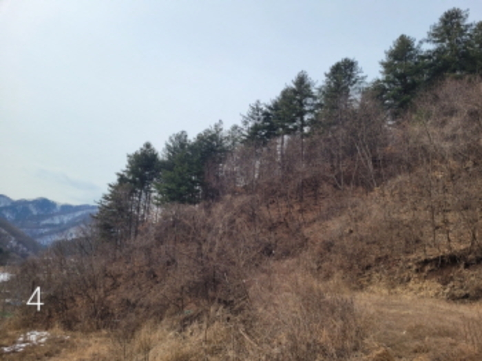 물건 사진 11