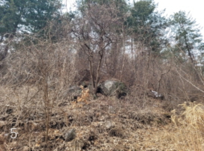 물건 사진 12