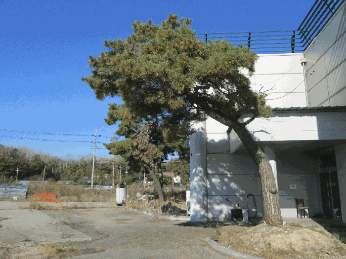 물건 사진 23