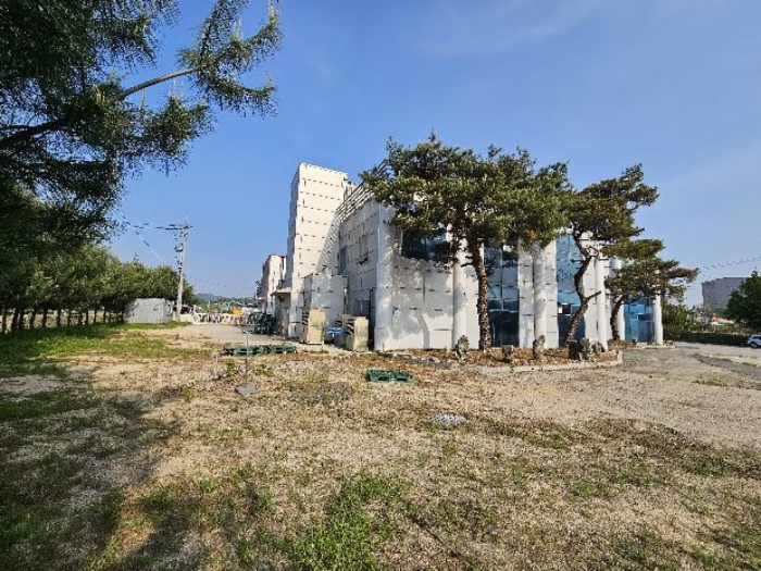 물건 사진 5