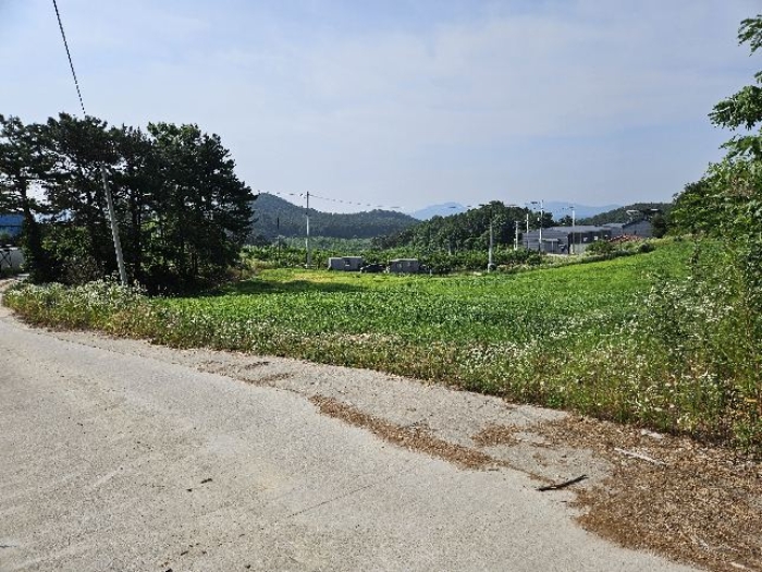 물건 사진 26