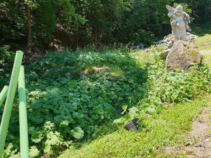물건 사진 53