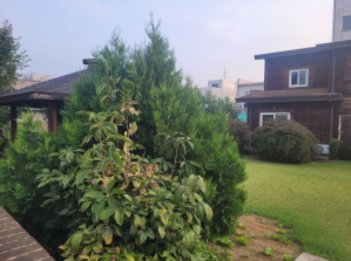 물건 사진 1