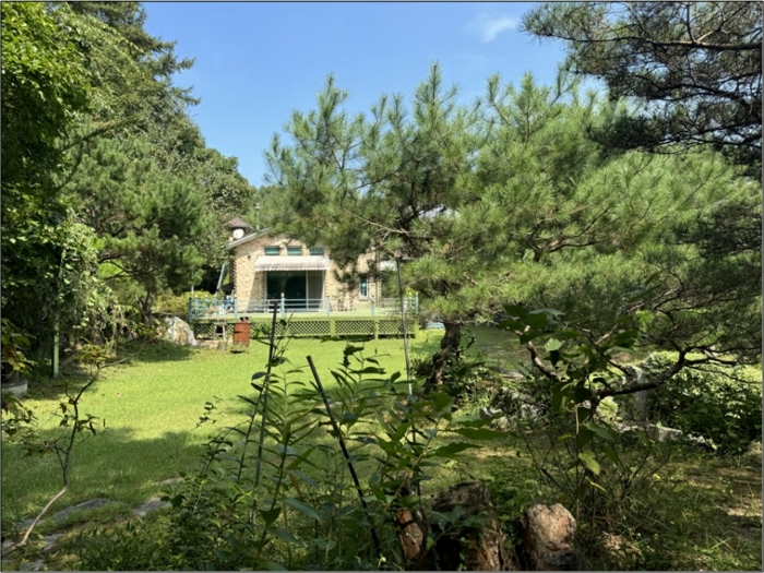 물건 사진 19