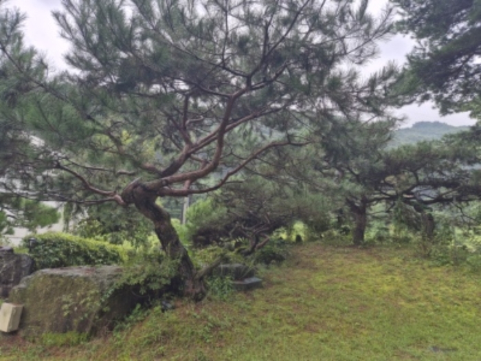 물건 사진 3