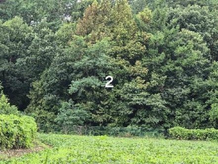 물건 사진 3