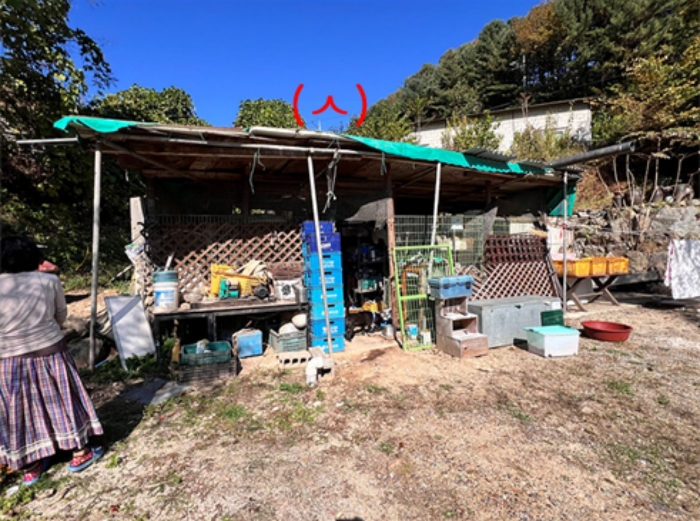 물건 사진 43