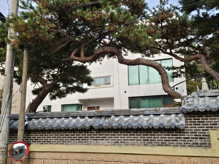 물건 사진 11
