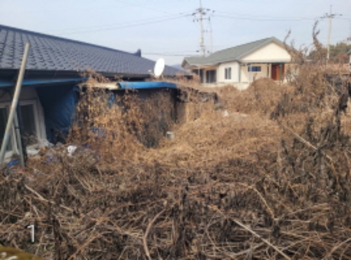 물건 사진 1