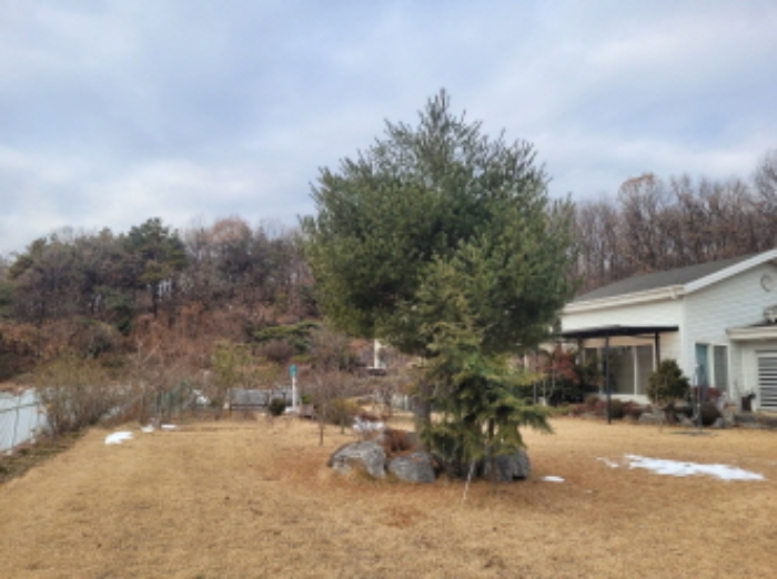 물건 사진 7