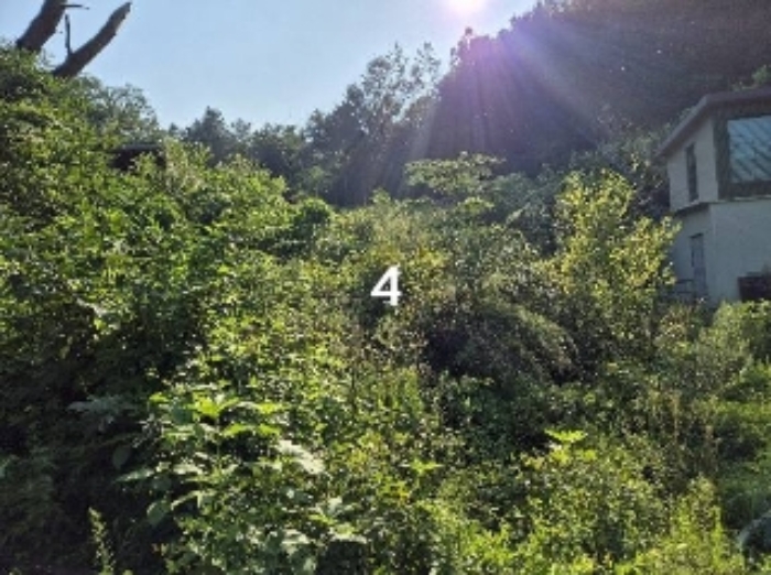 물건 사진 3
