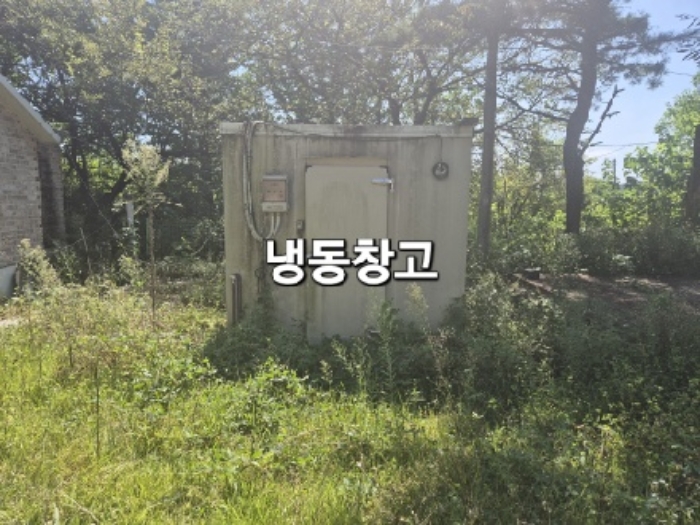 물건 사진 8