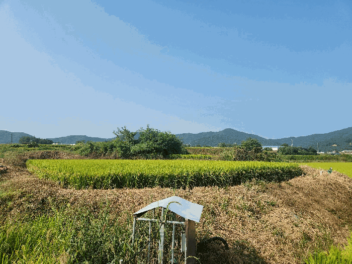 물건 사진 18