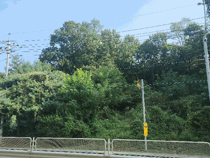 물건 사진 20