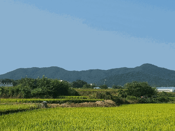 물건 사진 21