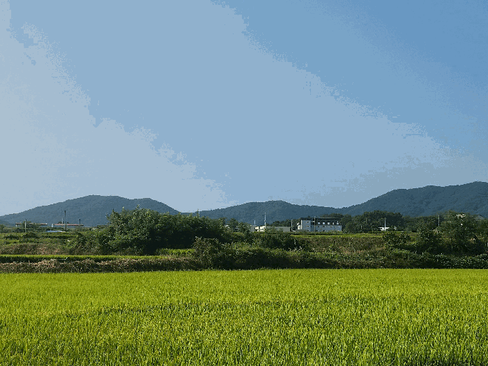 물건 사진 24