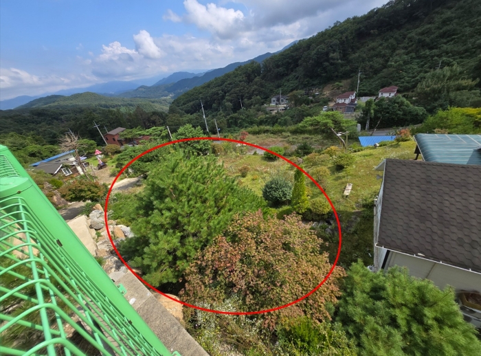 물건 사진 13