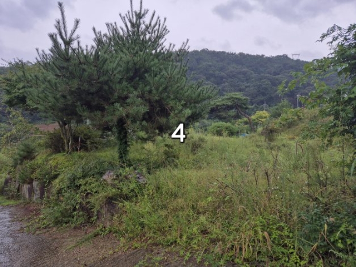 물건 사진 3