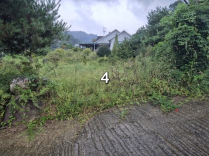 물건 사진 4