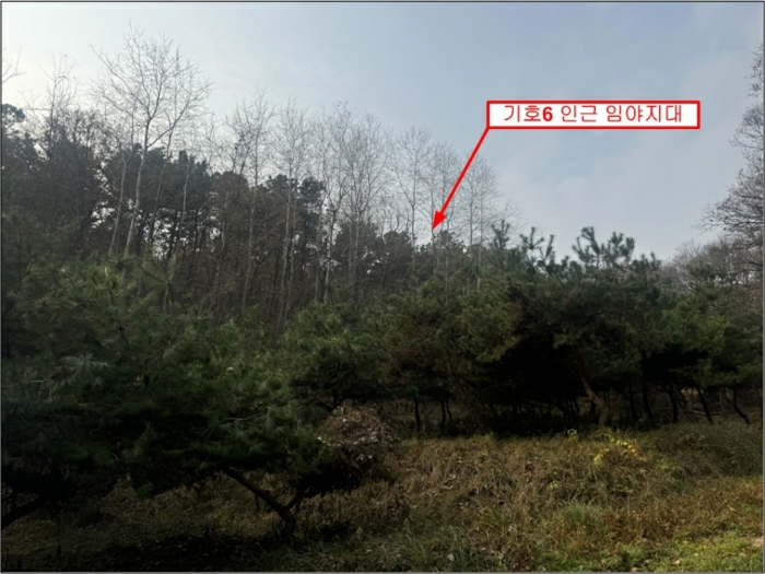 물건 사진 29