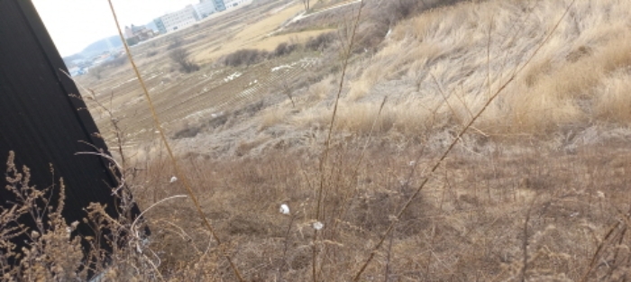 물건 사진 24