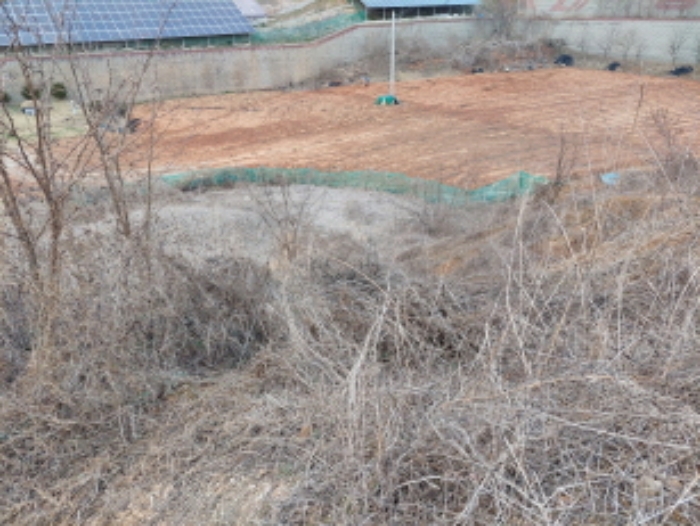 물건 사진 36