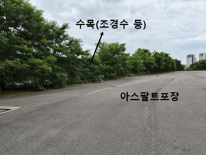 물건 사진 74