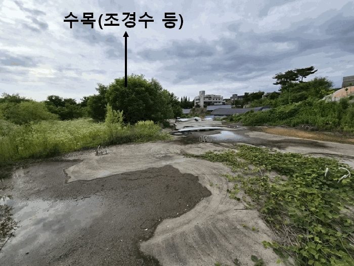 물건 사진 75