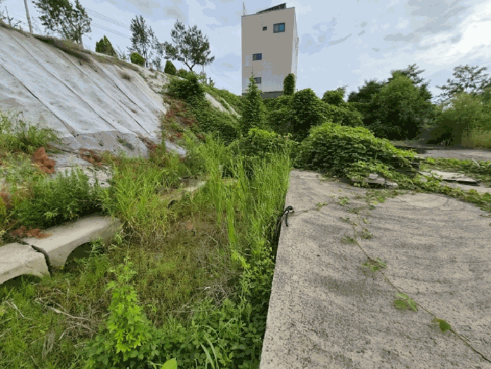 물건 사진 81