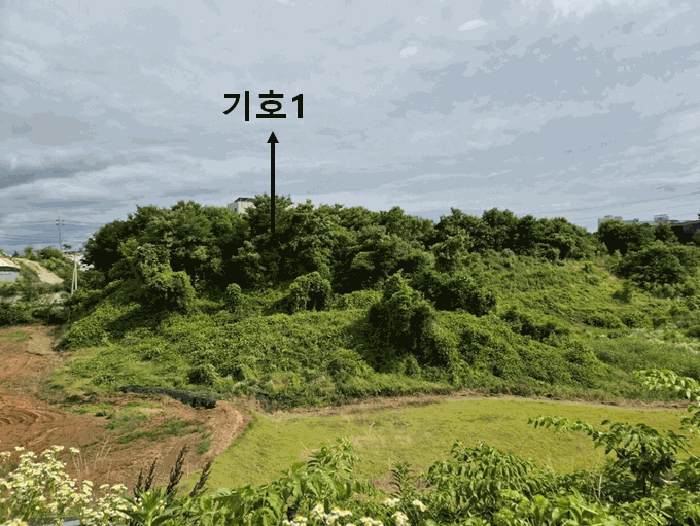 물건 사진 83