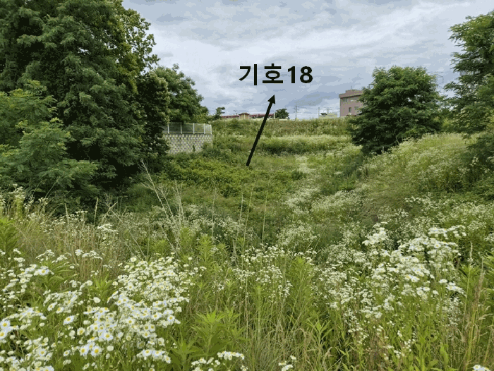 물건 사진 94