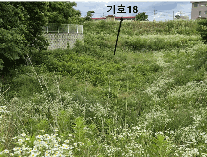 물건 사진 95