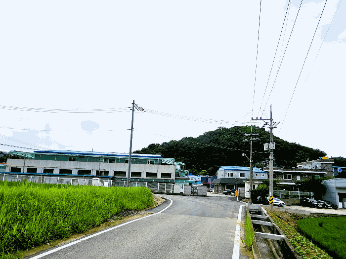 물건 사진 31