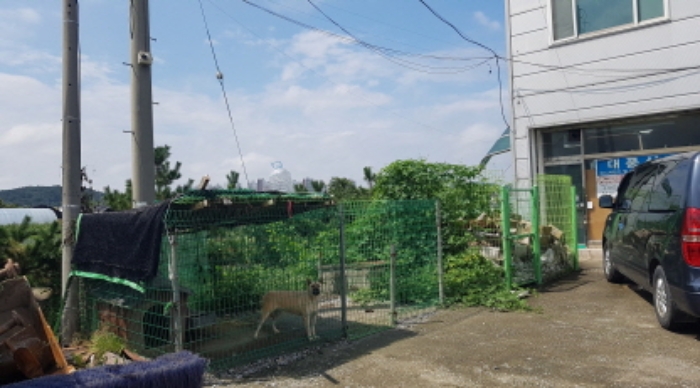 물건 사진 8