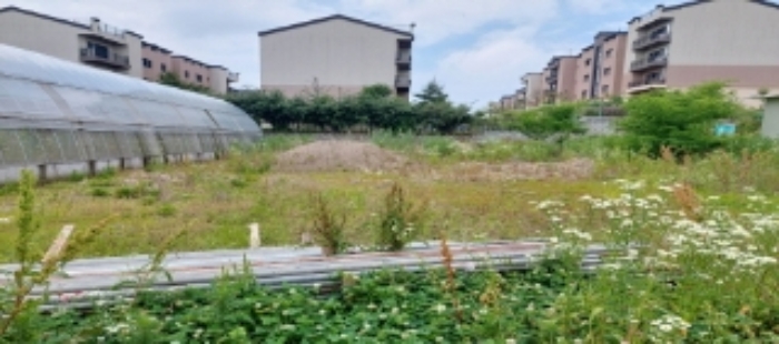 물건 사진 12