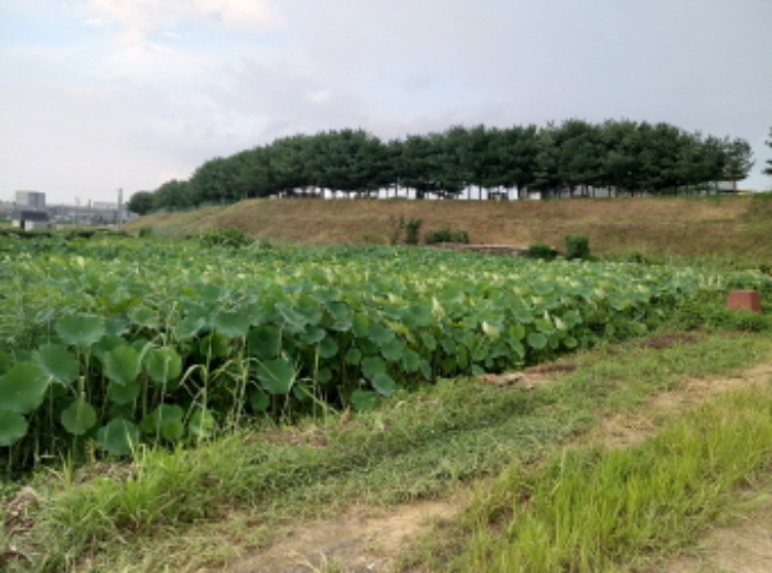 물건 사진 12