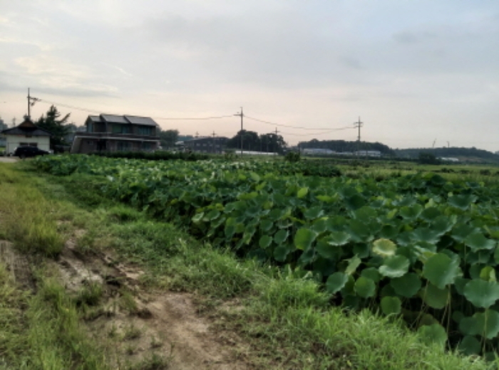 물건 사진 13