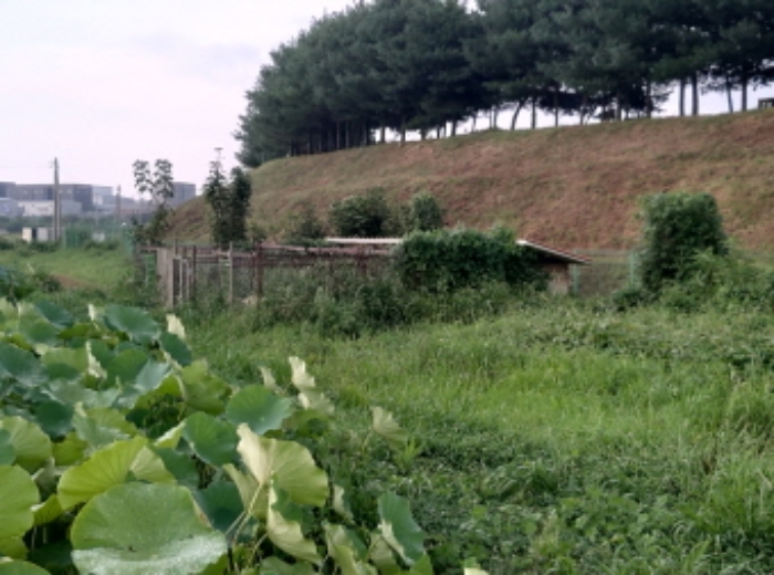 물건 사진 15