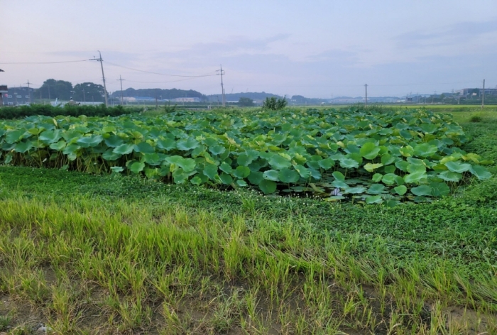 물건 사진 20