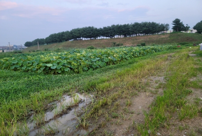 물건 사진 27