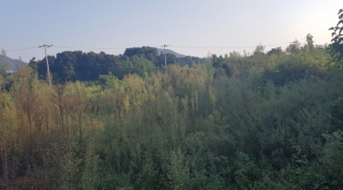 물건 사진 11
