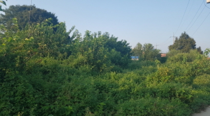 물건 사진 13