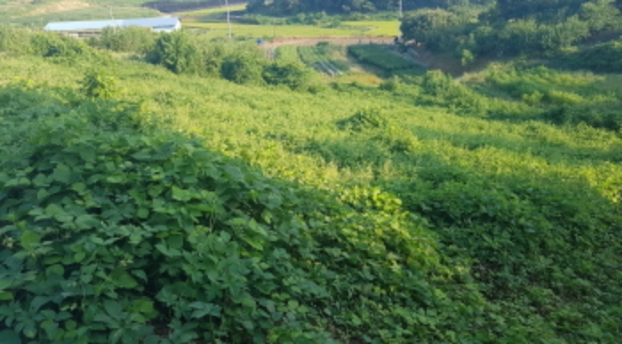 물건 사진 16